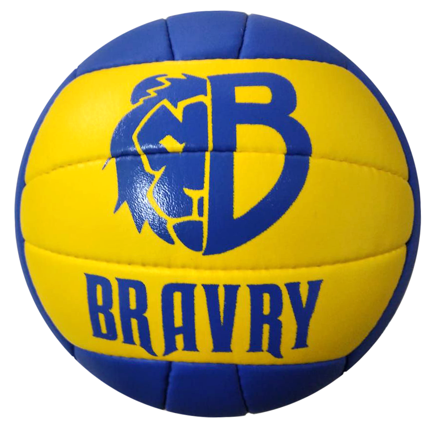 Мяч волейбольный профессиональный BRAVRY SAMBA